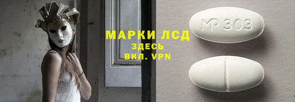 прущие грибы Вязники