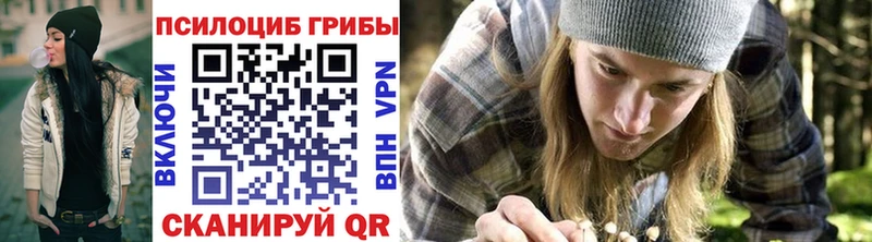 Псилоцибиновые грибы мицелий  продажа наркотиков  OMG ТОР  Аксай 