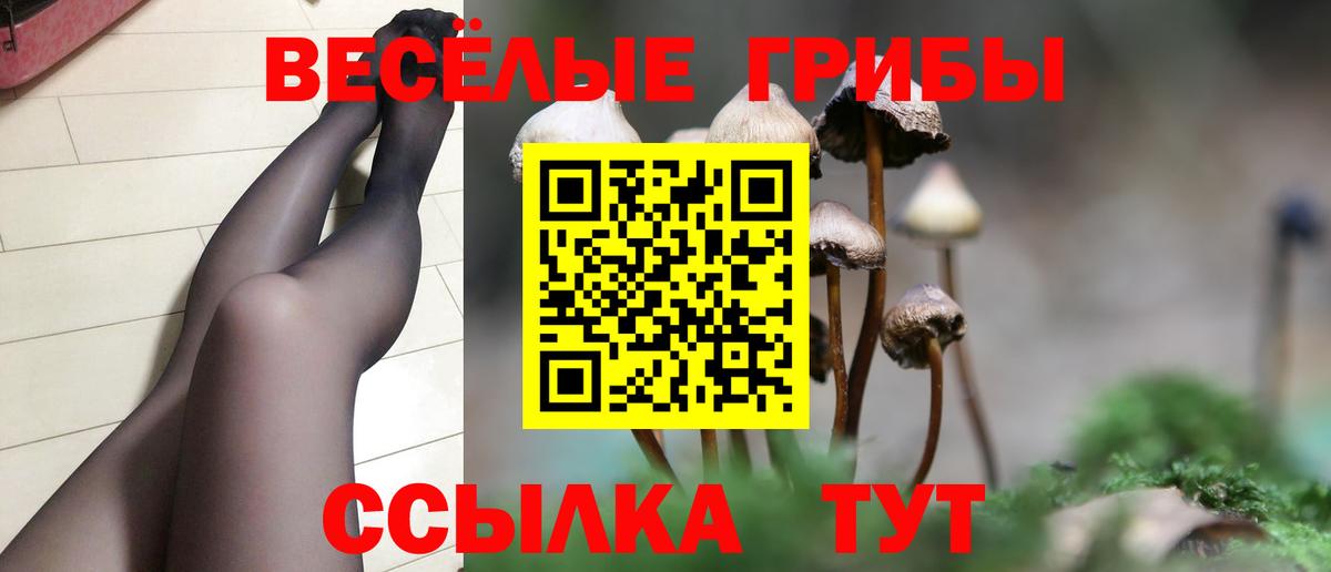 Галлюциногенные грибы GOLDEN TEACHER Аксай
